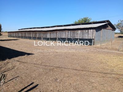 Vente Propriété Bergerac - Réf. 13363  - Mandataire immobilier Loick Richard - image 3