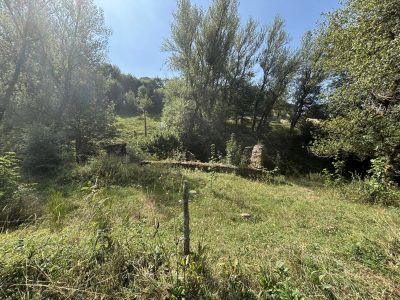 Vente Ruine Freycenet-la-Cuche - Réf. 13484  - Mandataire immobilier Zoé Scardone - image 10
