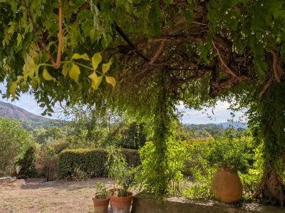 Vente Mas Taradeau - Réf. 13451A  - Mandataire immobilier Cécile Ferré - image 9