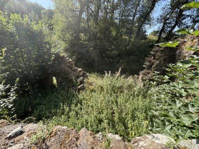 Vente Ruine Freycenet-la-Cuche - Réf. 13484  - Mandataire immobilier Zoé Scardone - image 9